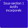Sous-section 1. Actifs incorporels