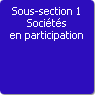 Sous-section 1. Socits en participation