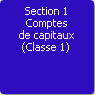 Section 1. Comptes de capitaux : capitaux propres, autres fonds propres, emprunts et dettes assimiles (Classe 1)