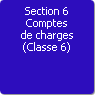 Section 6. Comptes de charges (Classe 6)