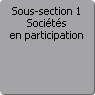 Sous-section 1. Socits en participation